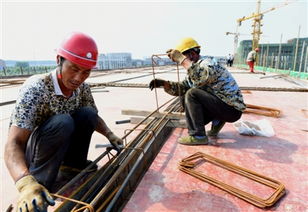 聚一虾整肢虾生产项目进展顺利，建筑智能化系统设计助力高效试生产