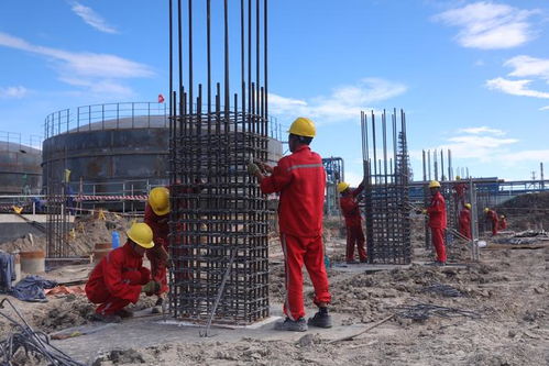 镇海基地加快推进公用工程项目建设 建设工程施工高效有序